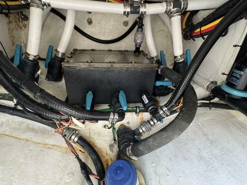 Slide: The Image of Front Runner 36 CC 2023 - 5082833