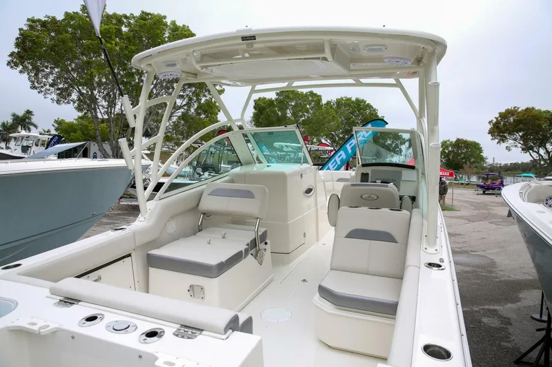 Slide: The Image of Sailfish 245 DC 2025 - 4975422