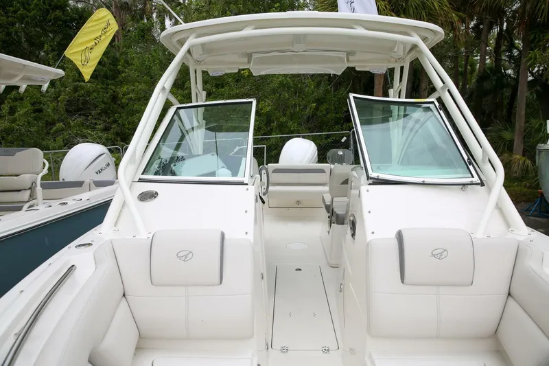 Slide: The Image of Sailfish 245 DC 2025 - 4975426