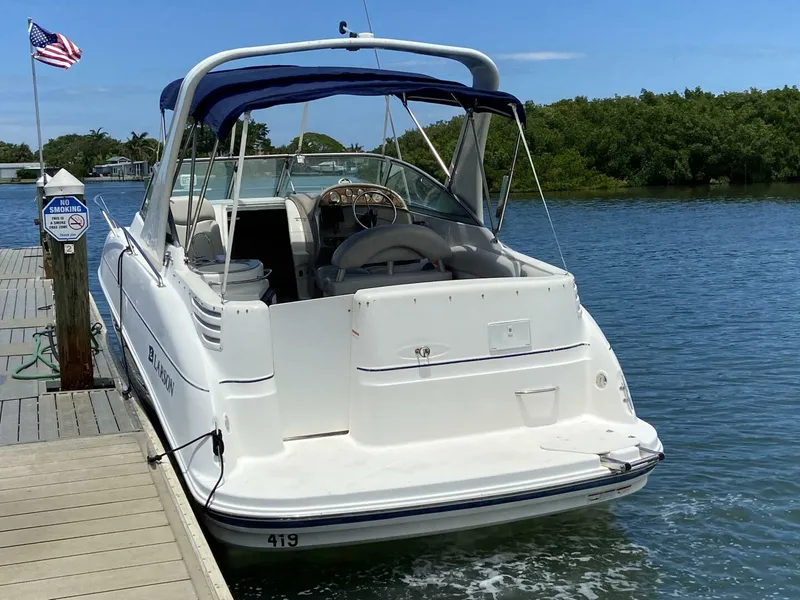 Slide: The Image of Larson 274 Cabrio 2006 - 4822361