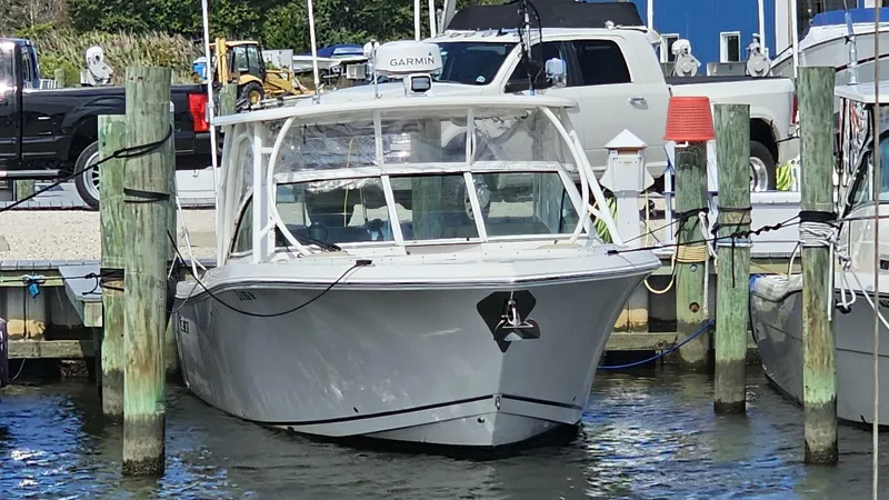 Slide: The Image of Sailfish 325 DC 2019 - 4825987