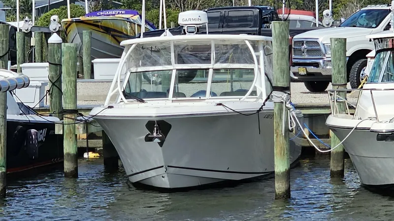 Slide: The Image of Sailfish 325 DC 2019 - 4825986