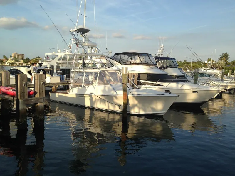 Slide: The Image of Stolper 3800 Tournament Express 2000 - 4835627