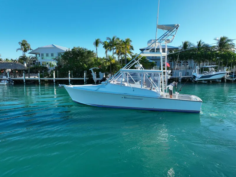 Slide: The Image of Stolper 3800 Tournament Express 2000 - 4835619