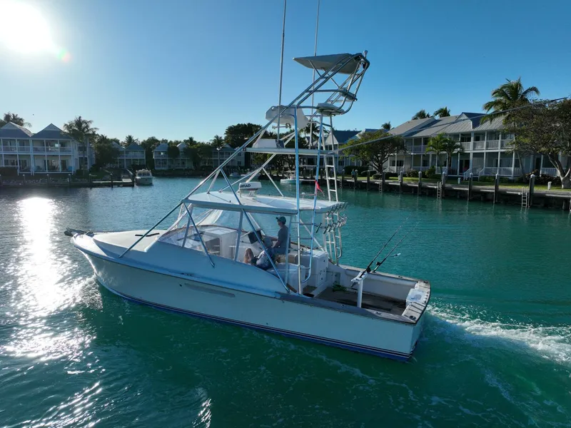 Slide: The Image of Stolper 3800 Tournament Express 2000 - 4835620