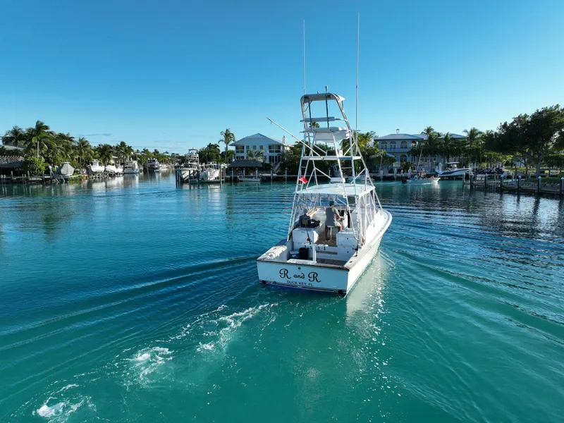 Slide: The Image of Stolper 3800 Tournament Express 2000 - 4835622