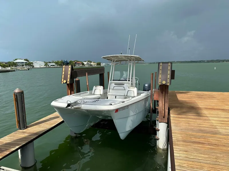 Slide: The Image of World Cat 230 CC 2019 - 4828579