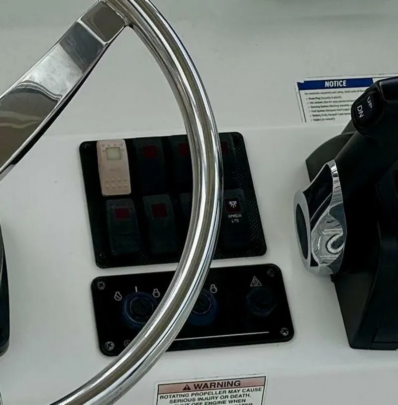 Slide: The Image of World Cat 230 CC 2019 - 4828582