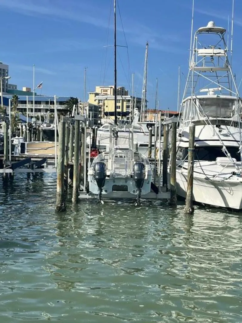 Slide: The Image of World Cat 230 CC 2019 - 4877798