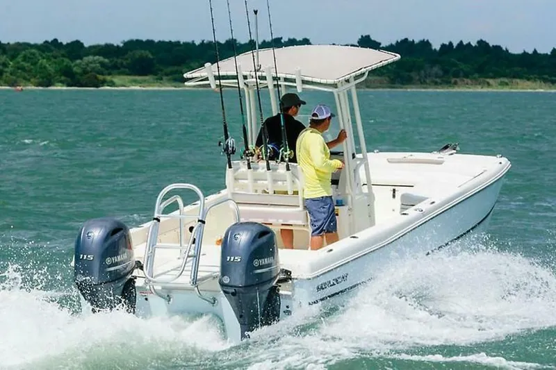 Slide: The Image of World Cat 230 CC 2019 - 4828520