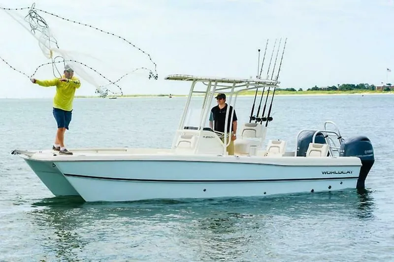 Slide: The Image of World Cat 230 CC 2019 - 4828518