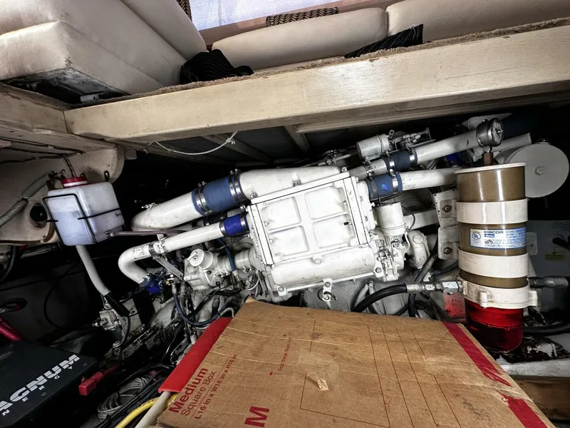 Slide: The Image of Post 43 Sport Fisherman 1985 - 4907661