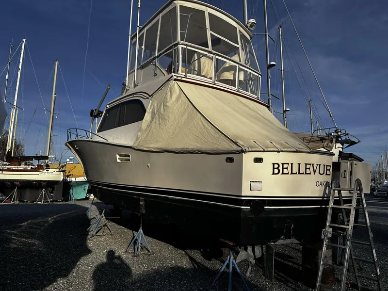 Slide: The Image of Post 43 Sport Fisherman 1985 - 4907678