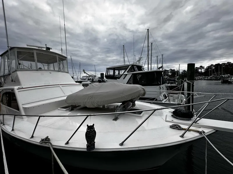 Slide: The Image of Post 43 Sport Fisherman 1985 - 4870593