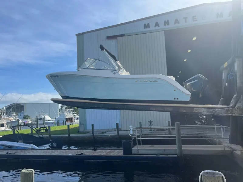 Slide: The Image of Cobia 220 Dual Console 2021 - 4856153