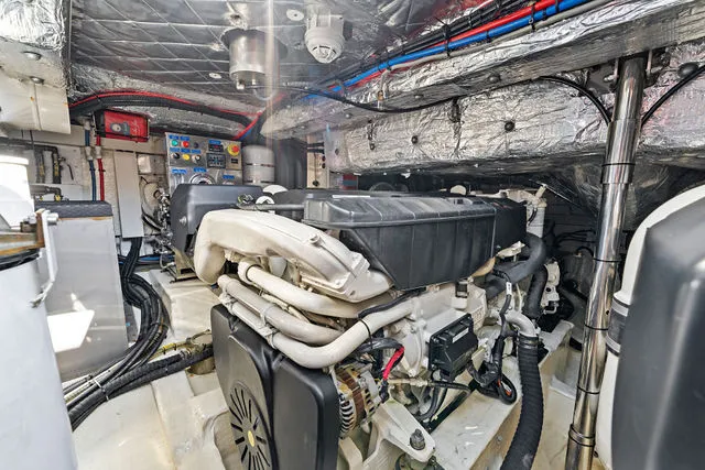 Slide: The Image of Sacs Rebel 55 2026 - 26
