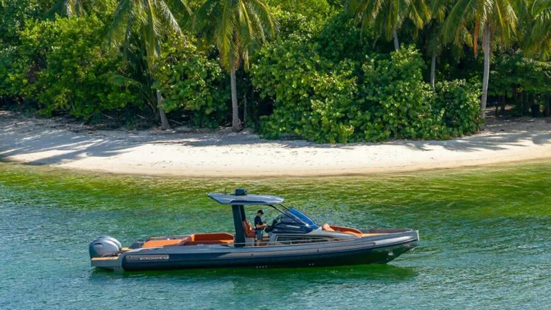 Slide: The Image of 5Stradivari43_web 3 - 4862456