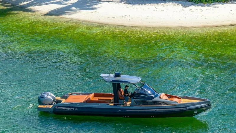 Slide: The Image of 54Stradivari43_web 4 - 4862510