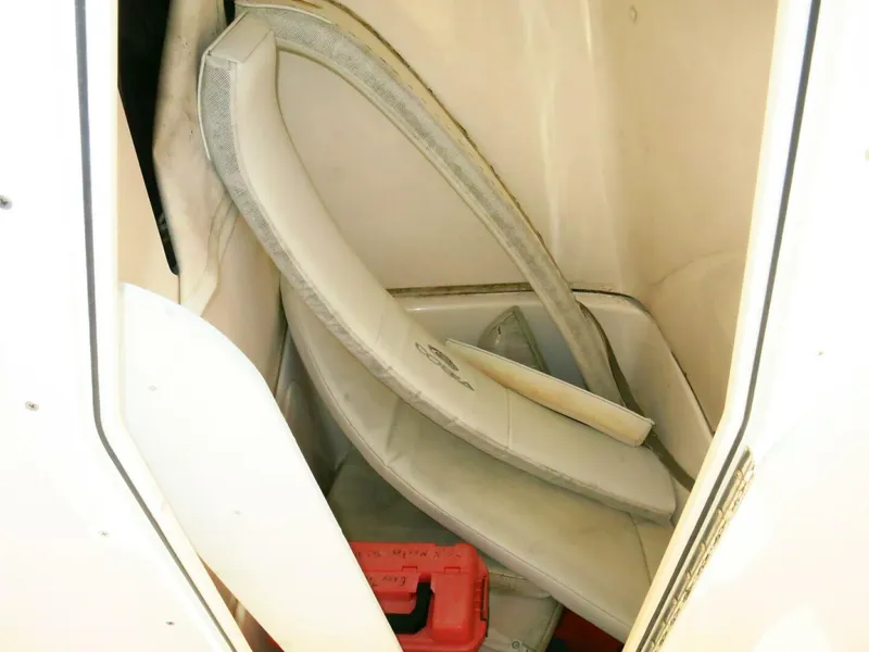 Slide: The Image of Cobia 237 CC 2020 - 4863847