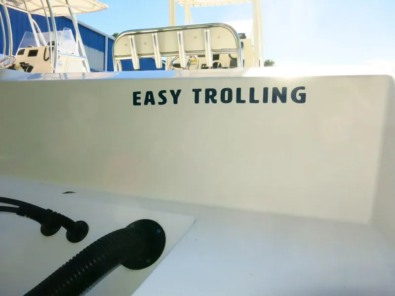 Slide: The Image of Cobia 237 CC 2020 - 4863830