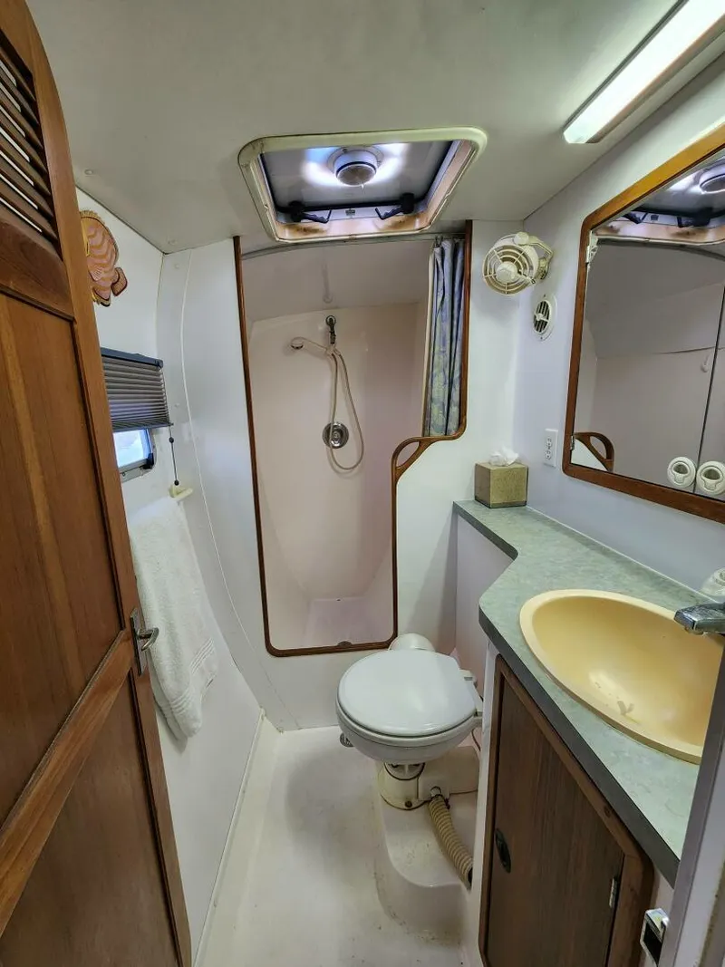 Slide: The Image of Manta 42 2000 - 4867063