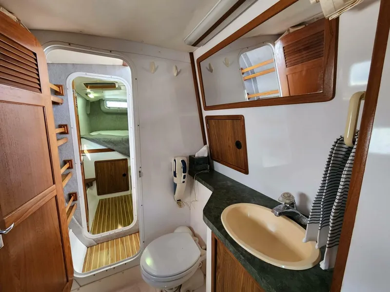 Slide: The Image of Manta 42 2000 - 4867062