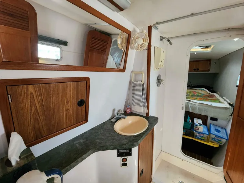 Slide: The Image of Manta 42 2000 - 4867066