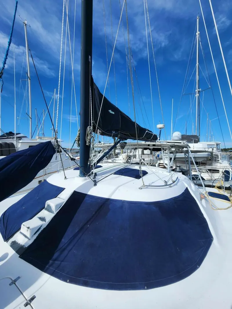 Slide: The Image of Manta 42 2000 - 4867091