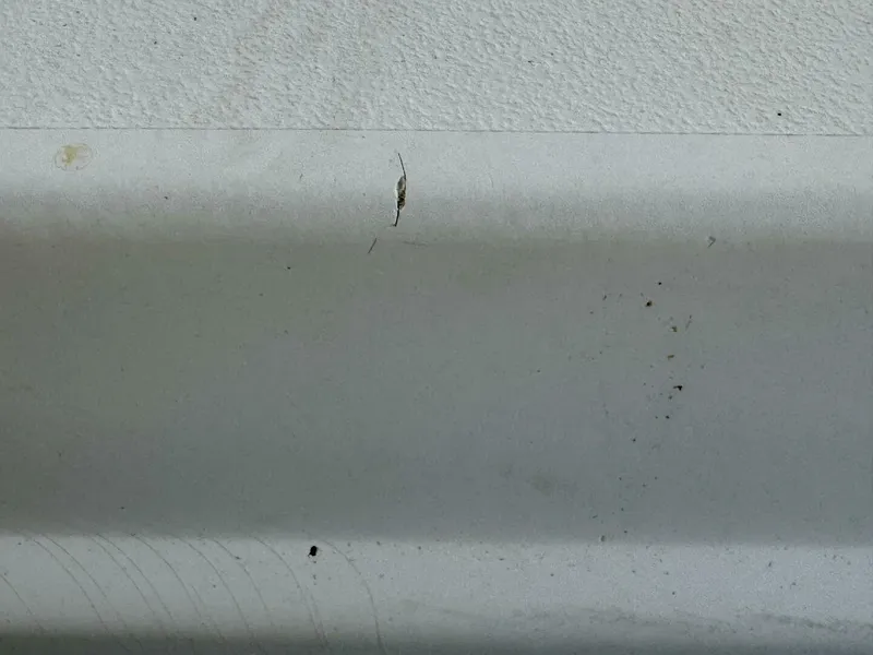 Slide: The Image of Rinker 342 Fiesta Vee 2004 - 4868231