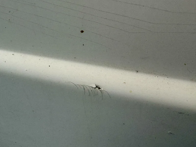 Slide: The Image of Rinker 342 Fiesta Vee 2004 - 4868249