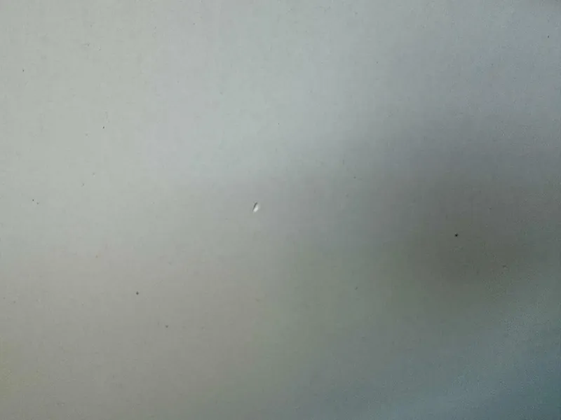 Slide: The Image of Rinker 342 Fiesta Vee 2004 - 4868269