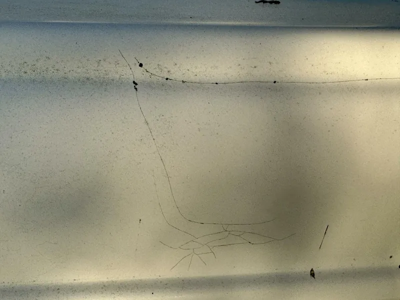 Slide: The Image of Rinker 342 Fiesta Vee 2004 - 4868278