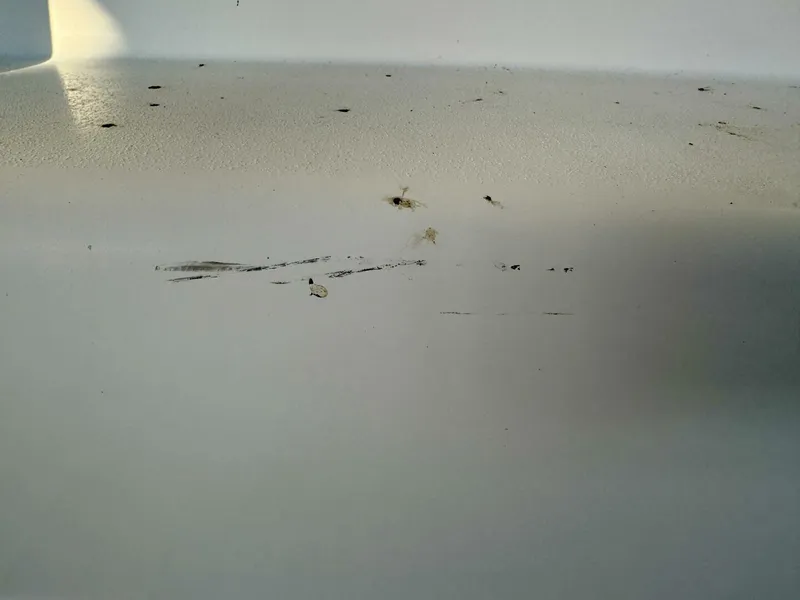 Slide: The Image of Rinker 342 Fiesta Vee 2004 - 4868286