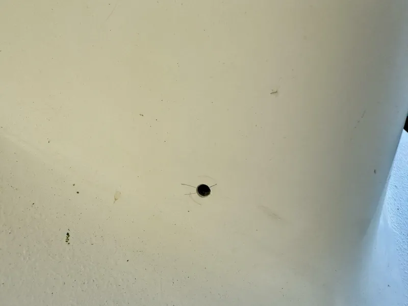 Slide: The Image of Rinker 342 Fiesta Vee 2004 - 4868323