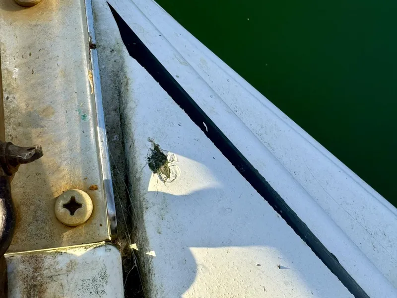 Slide: The Image of Rinker 342 Fiesta Vee 2004 - 4868208