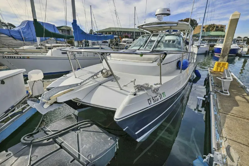 Slide: The Image of Glacier Bay 277 Hardtop 2009 - 4869617