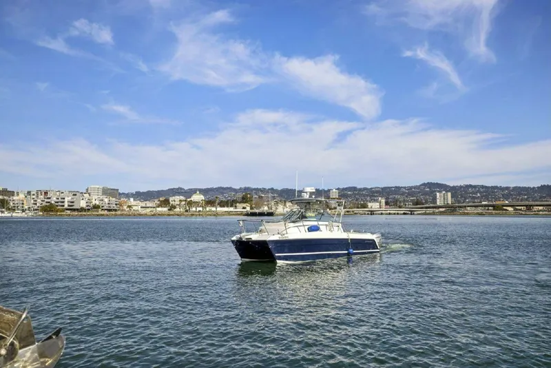 Slide: The Image of Glacier Bay 277 Hardtop 2009 - 4869643