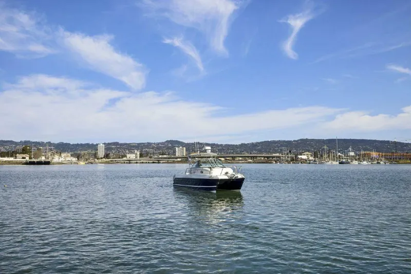 Slide: The Image of Glacier Bay 277 Hardtop 2009 - 4869646