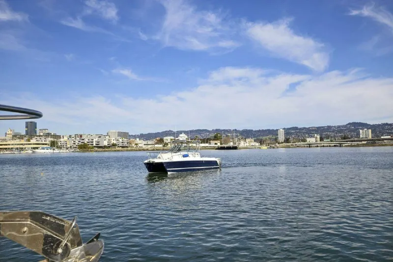 Slide: The Image of Glacier Bay 277 Hardtop 2009 - 4869648