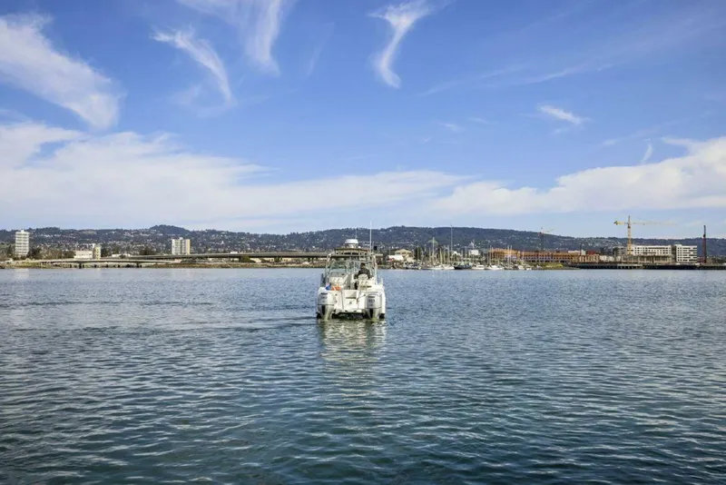 Slide: The Image of Glacier Bay 277 Hardtop 2009 - 4869651