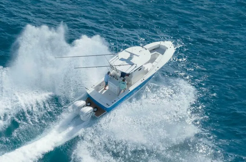 Slide: The Image of Regulator Marine 31 2025 - 4872431