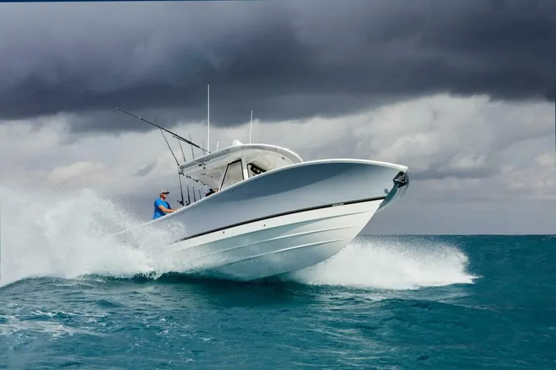 Slide: The Image of Regulator Marine 31 2025 - 4872453