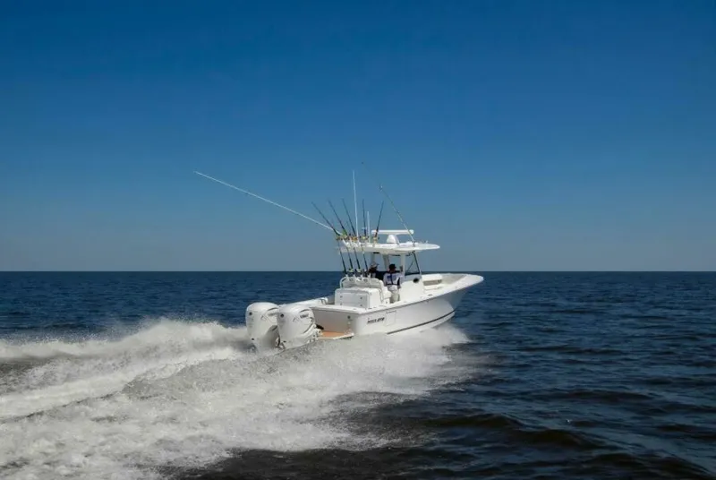 Slide: The Image of Regulator Marine 31 2025 - 4872455
