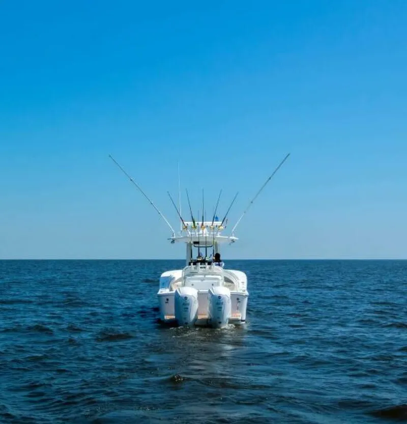 Slide: The Image of Regulator Marine 31 2025 - 4872456