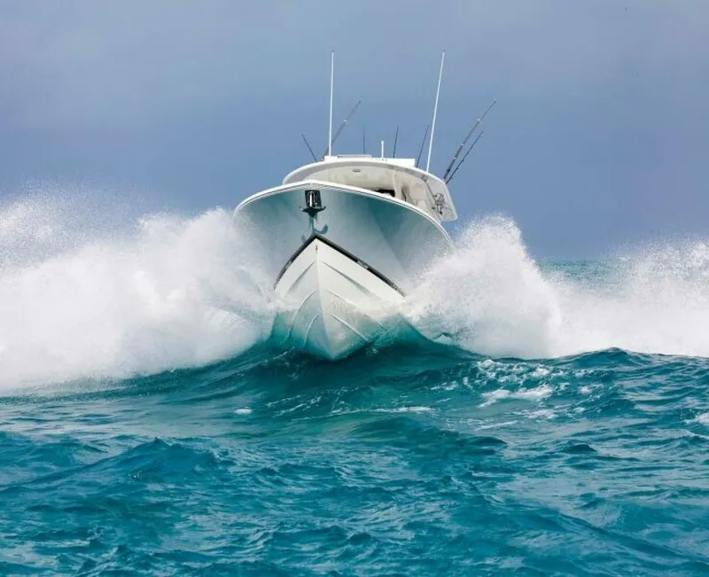 Slide: The Image of Regulator Marine 31 2025 - 4872436