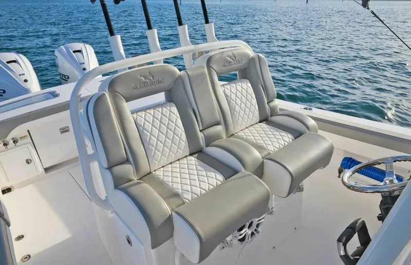 Slide: The Image of Regulator Marine 31 2025 - 4872439