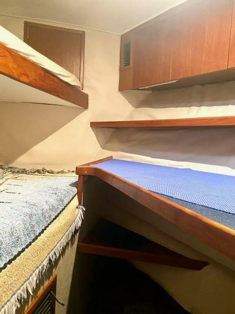 Slide: The Image of Custom Carolina 56 EAST BAY 2000 - 4872849