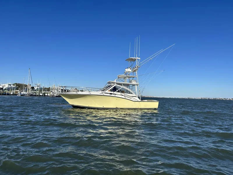 The Image of Carolina 35 2004 - 4873100