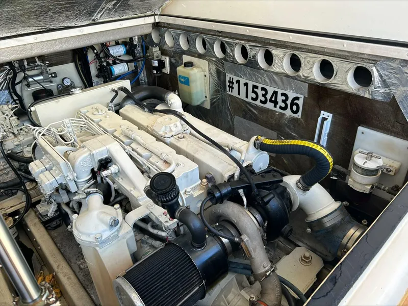 Slide: The Image of Carolina 35 2004 - 5847046