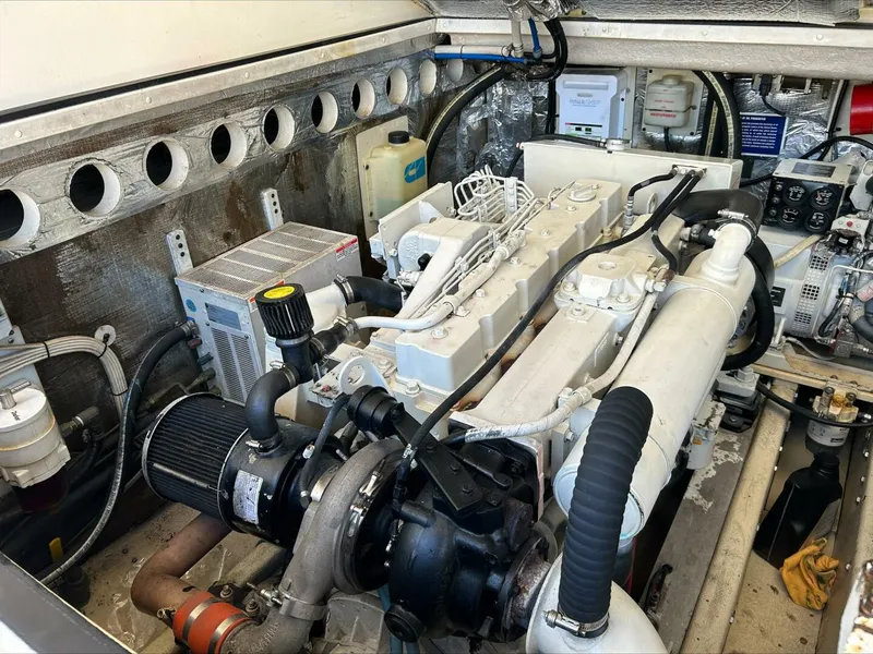 Slide: The Image of Carolina 35 2004 - 5847047